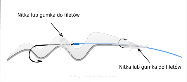 Rysunek zabezpieczonego gumką wędkarską fileta ze śledzia na dwóch haczykach